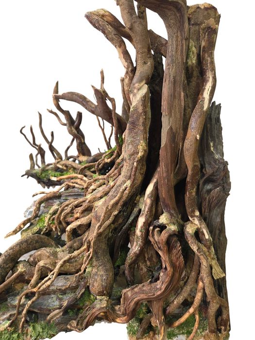 ARANŻACJA TERRARIUM AKWARIUM handmade 120x40x45 cm dekoracje