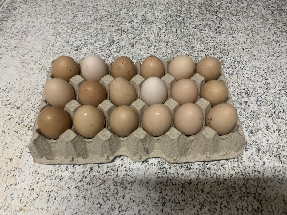 Ovos do campo caseiros