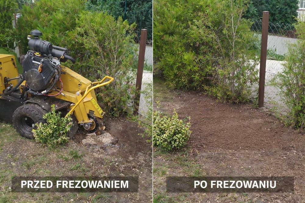 Frezowanie pni Pruszków usuwanie karp korzeni po wycince drzew