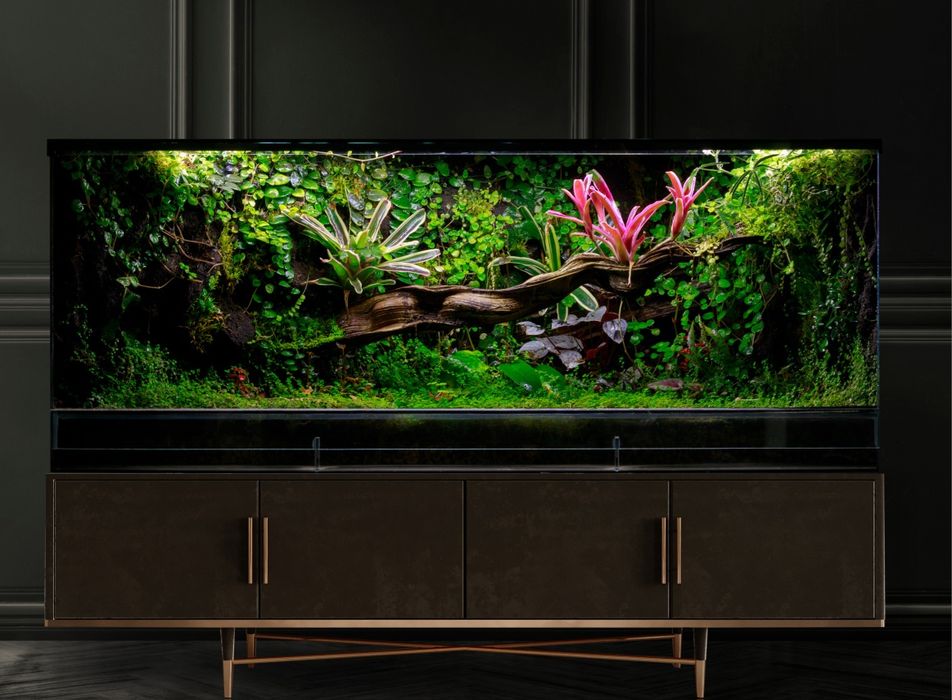 Terrarium tropikalne 40x40x60