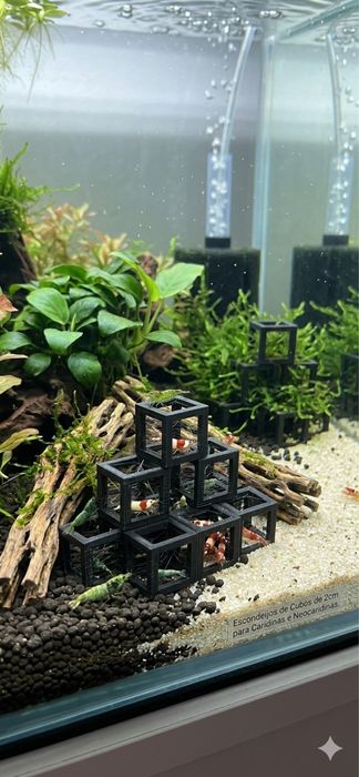 Esconderijo para neocaridinas caridinas