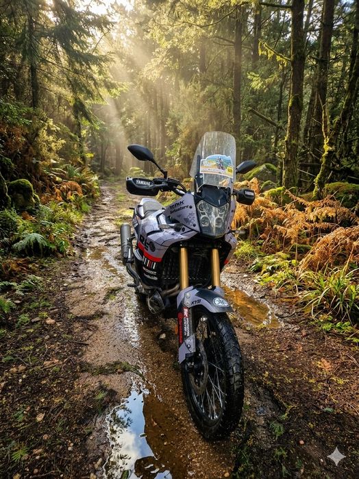 Yamaha Ténere world raid 2022