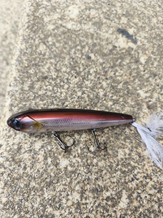 Vendo amostras superfície achigã