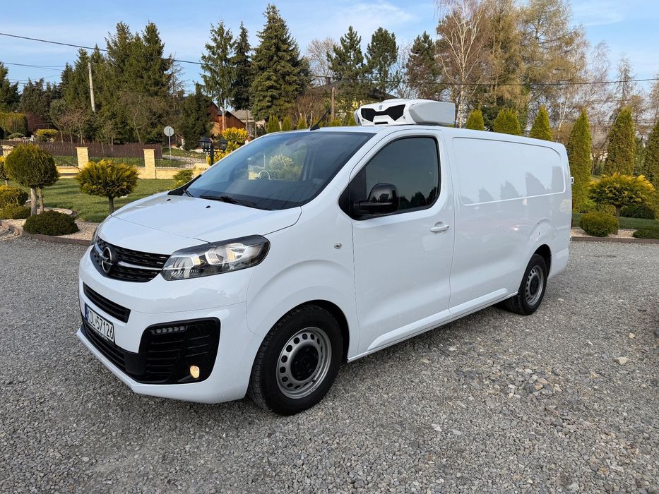 Opel Vivaro Klima Tempomat Czujniki  Chłodnia Zanotti -20 JAK NOWY Salon Polska Piękny Bezwypadkowy Mroźnia