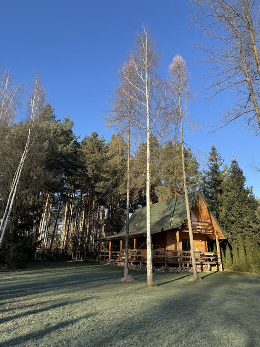 Dom z pieknym ogrodem w lesie nad Narwią na wynajem