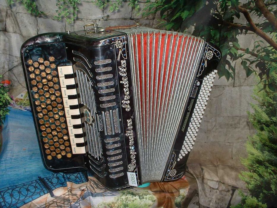 Promoção de Acordeões de concertinas