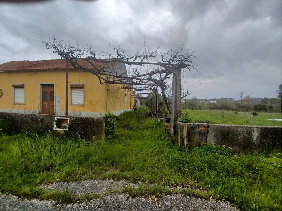 Vende-se 3 terrenos com casa e posibilidade de contricão