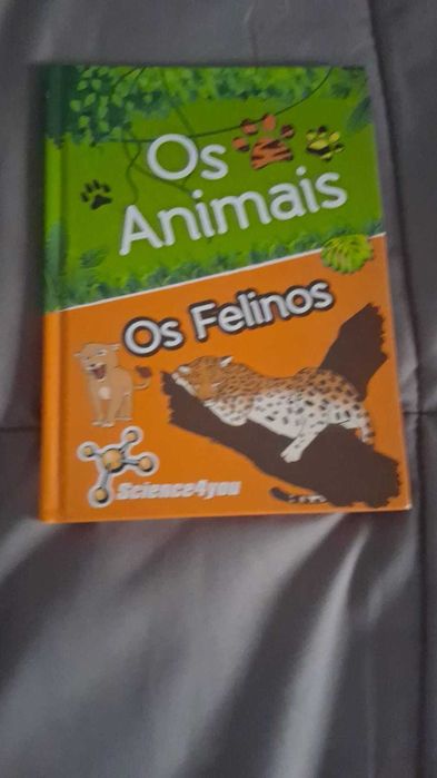 Livros para ler em família