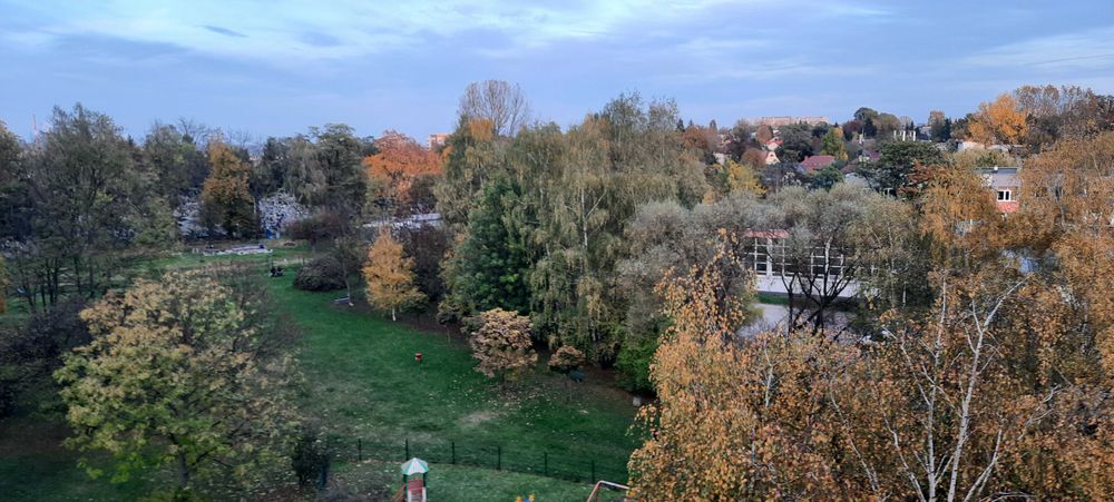 Wola Duchacka, ul. Sanocka, 3 pokoje z aneksem kuchennym, 49 mkw., piętro: 6/11, balkon, remont generalny w 2023 r., blok z windą