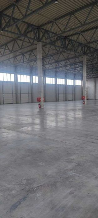 Commercial real estate at (area 4856 m²) - Atlanta.ua - photo 5