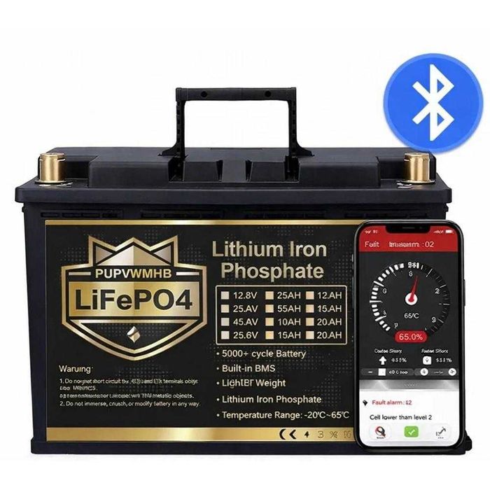 Розумний LiFePO4 акумулятор 12V 100Ah з BMS і контролем через смартфон