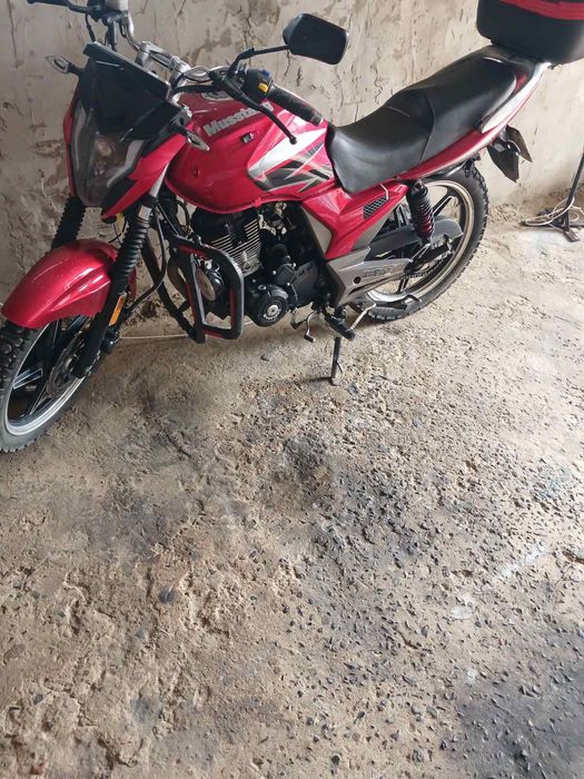 Мустанг регіон двісті