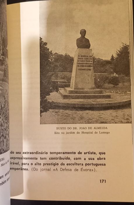 Livro sobre a cidade de Lamego, Terras ao Léu. PORTES GRÁTIS.