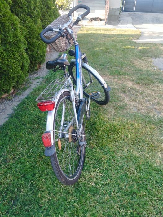 Rower mckenzy męski