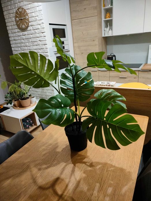 Fejka Monstera sztuczna rolina 90cm d Widzew  OLX.pl