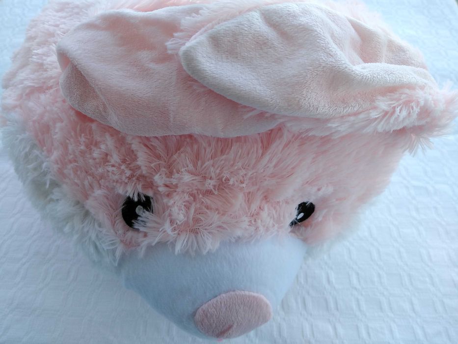 Pantufa Chinelo Para os Dois Pés