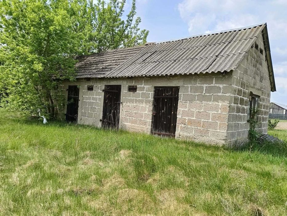 Zdjęcie 3