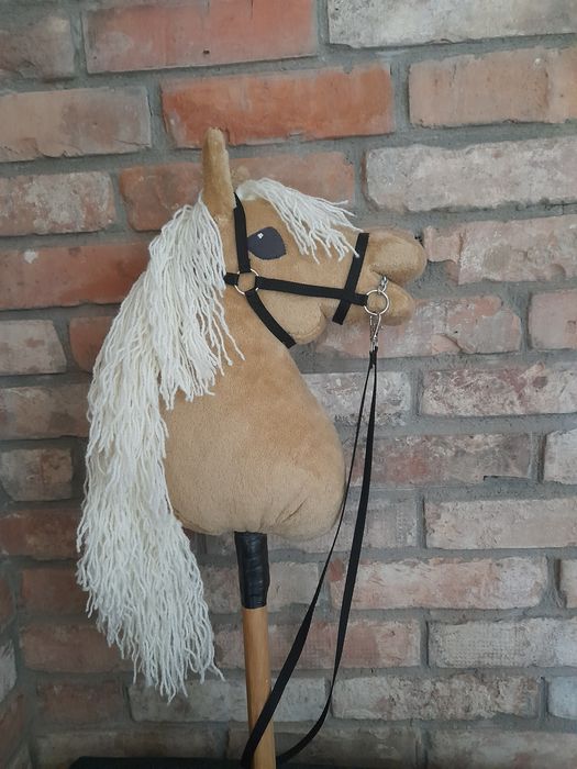 Konik hobby horse