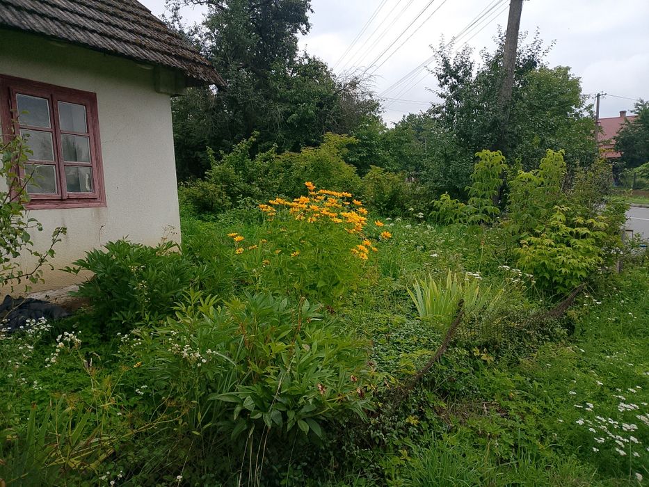 Продам будинок в м.Комарно