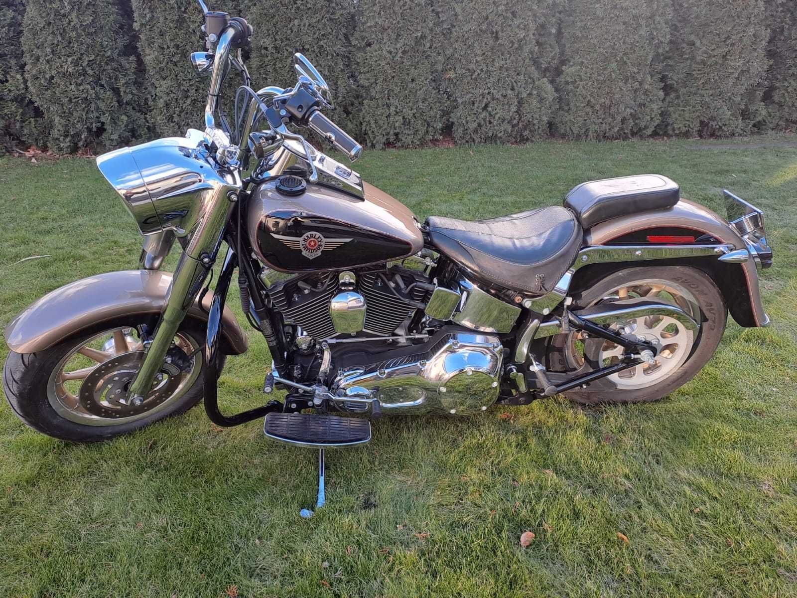 fat boy OLX.ua