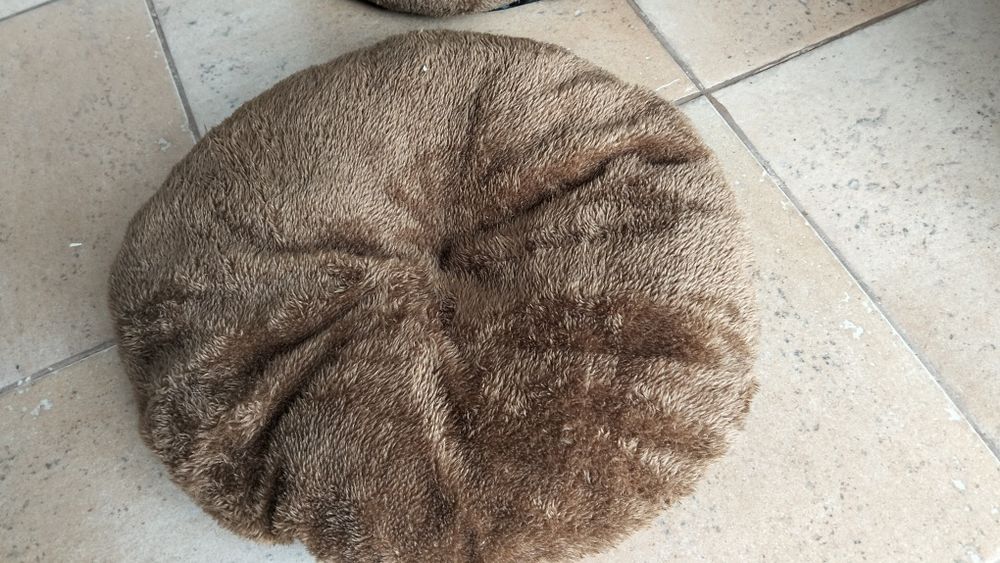 Casa para gato em forma de urso