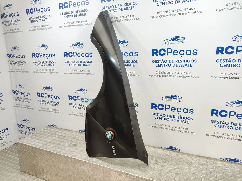 Guardalamas Frente Frontal Original BMW Z4 E89 2009 a 2016