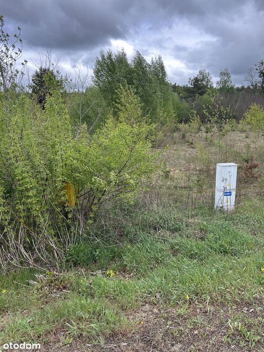 Działka budowlana 1160 m² z dostępem do mediów