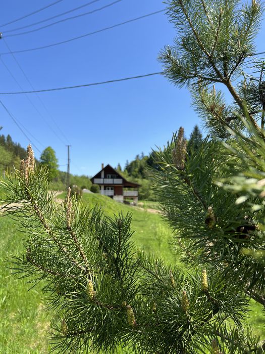 Відпочинок в Карпатах.Чан,сауна. Оренда будинку в горах