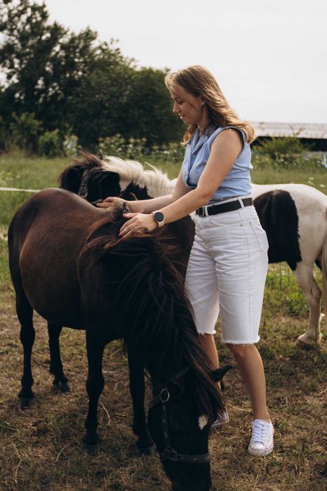 Продам поні, жереб молодий