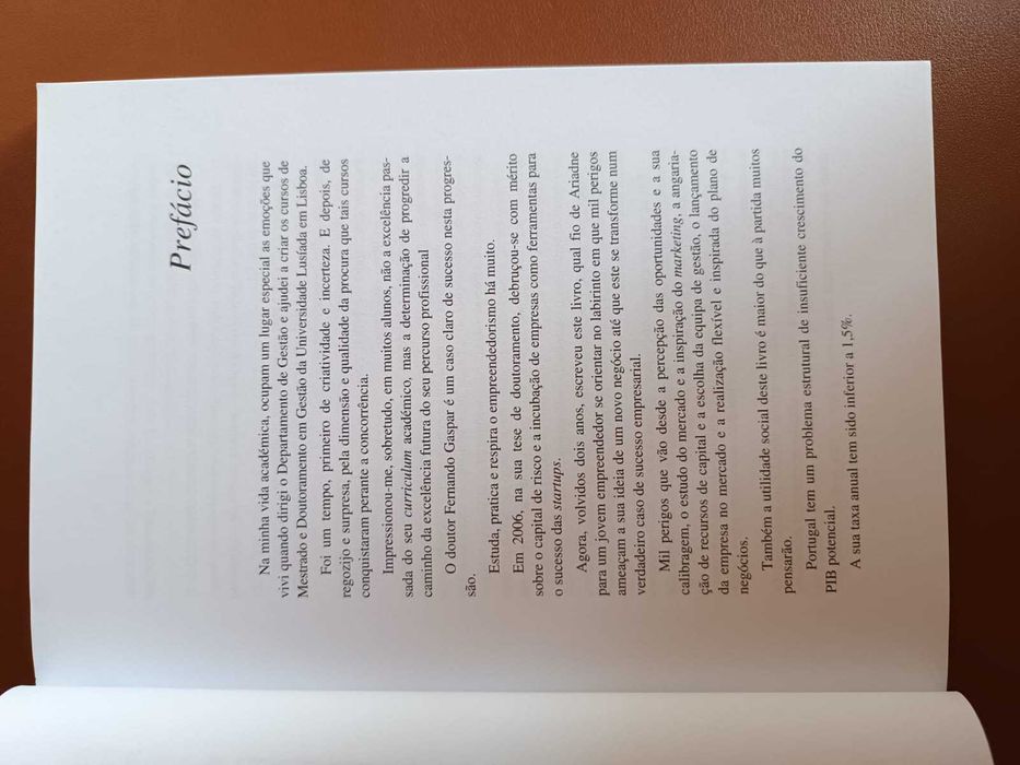 O processo Empreendedor e a Criação de Empresas de Sucesso