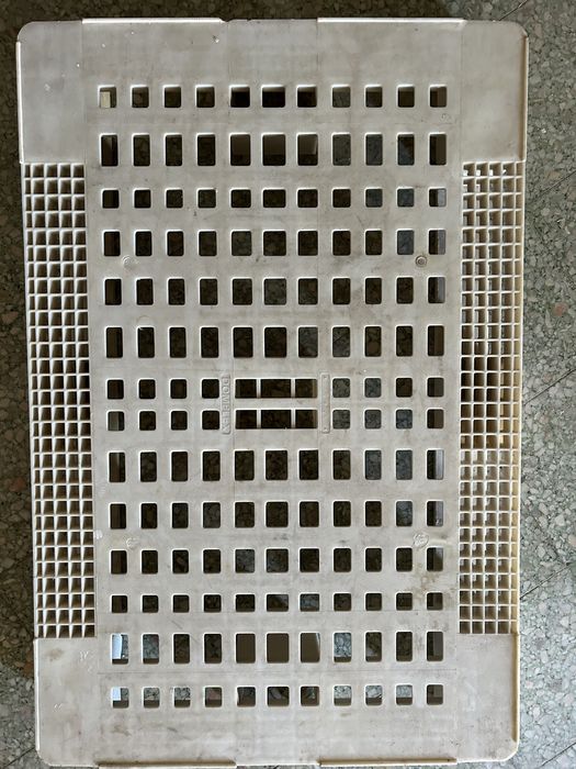 Euro palete de pastico Domplex,