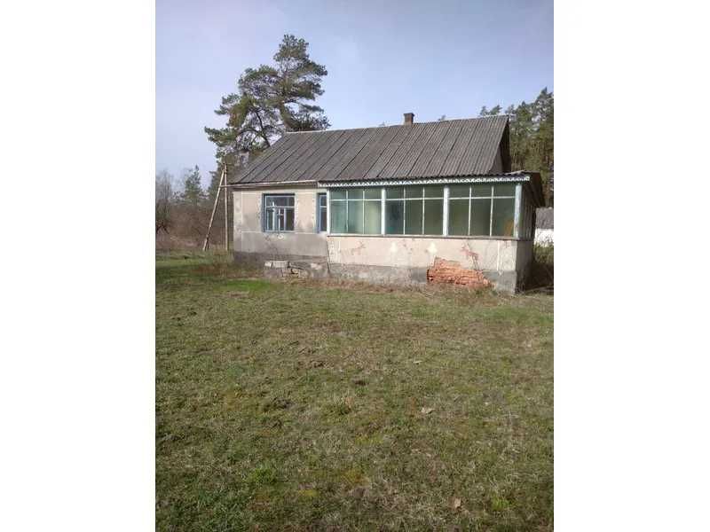 Продаж комерційної нерухомості 360 м² (будівля + свинарник) | с. Плужне