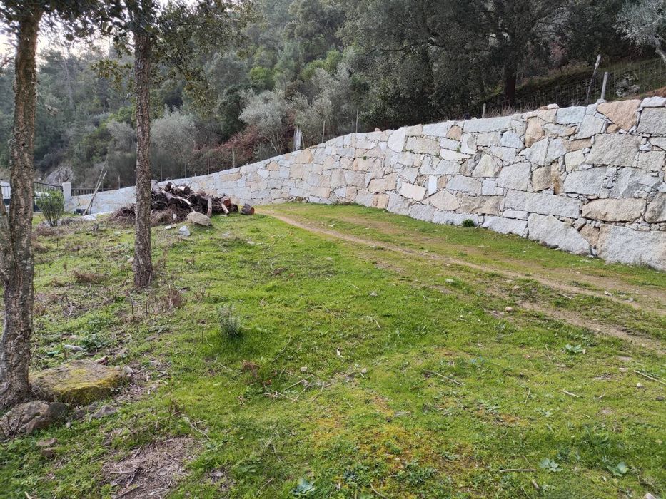 Quinta 3 Hectares Murganheira ( Tarouca )