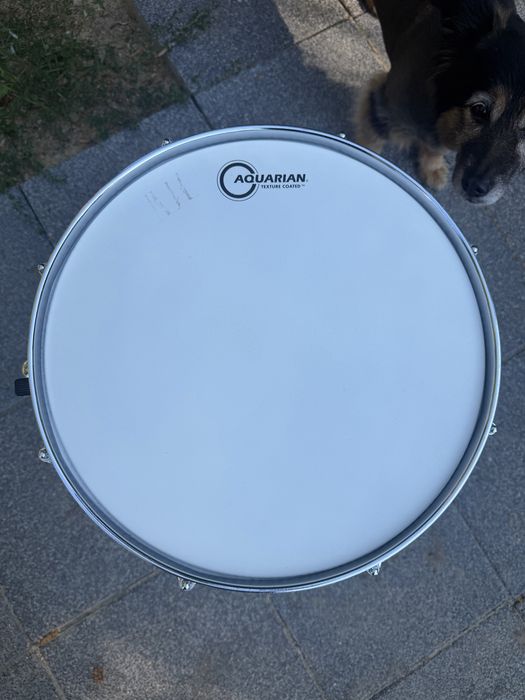 Werbel Pearl 14x6.5”