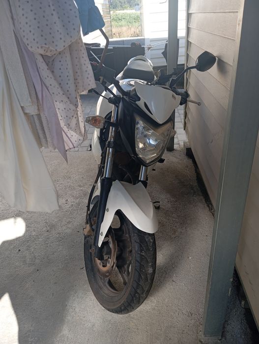 SYM Wolf 125 2019