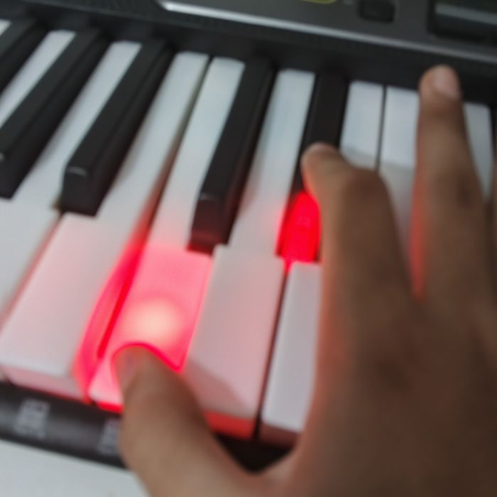 Casio Casiotone LK-S250 61 Teclas — Quase Novo + Caixa Original