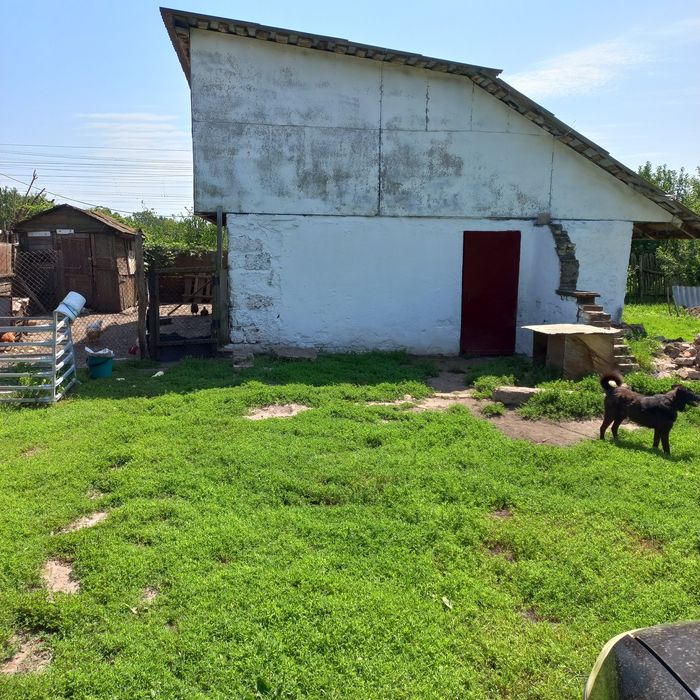 3/5 будинку та велика земельна ділянка