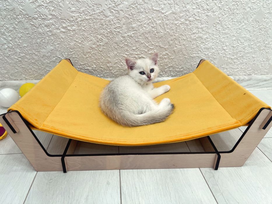 Лежанка-гамак для котов. Новинка!