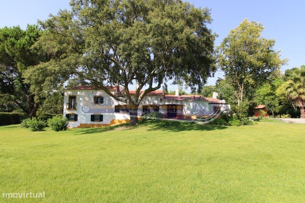 Moradia T4 em Santo Estevão (STE069)