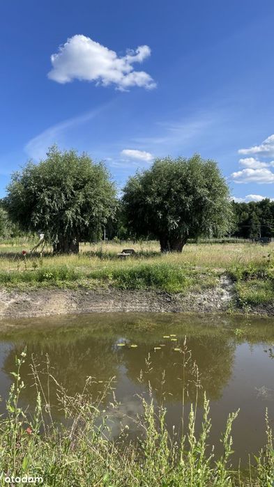 Działka budowlana 1000, 1680 m² - Widok 5