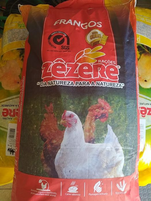 Frangos do campo,  Galos