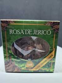 Rosa De Jerico - OLX Portugal