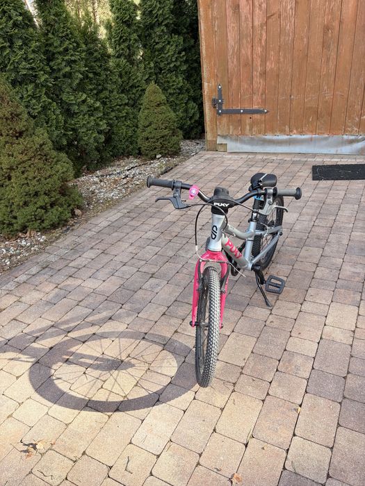 Rower puky LS PRO 18