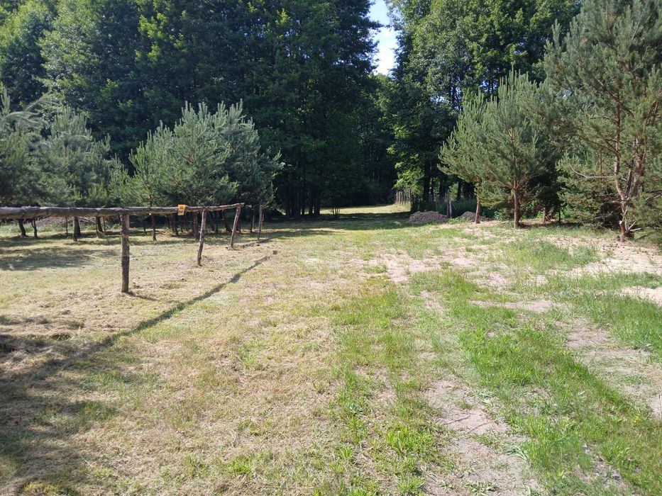 Działka budowalna pośród lasów – pohled 2
