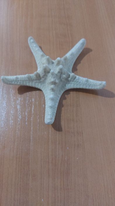 Продаются домовички морские сувениры