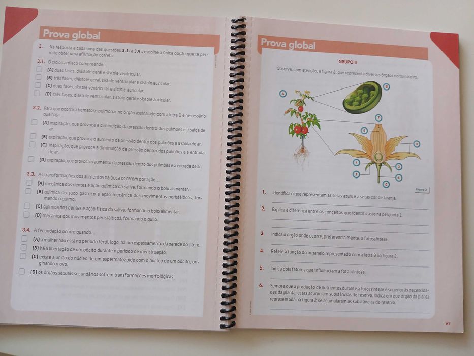 Caderno de Atividades Ciências 6º Ano