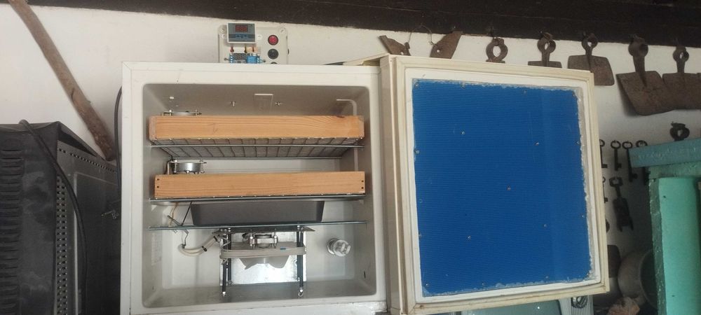 Chocadeiras artesanais