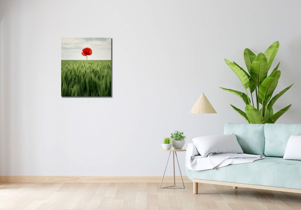 Obraz 50x60cm Samotny Mak na Polu