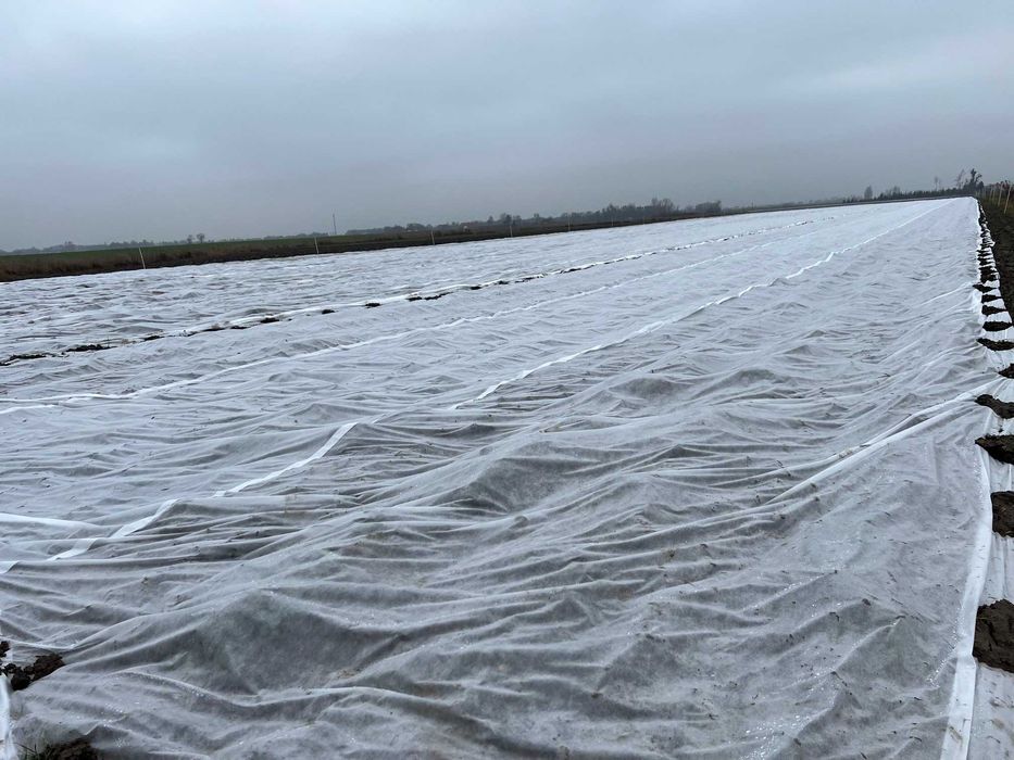 POLSKA MOCNA Agrowłóknina 4,75 x 100 włóknina P23 różne szerokości