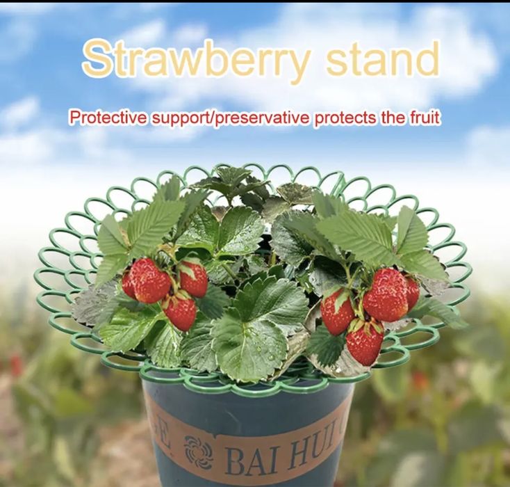 Suportes para Morangueiros *novos*